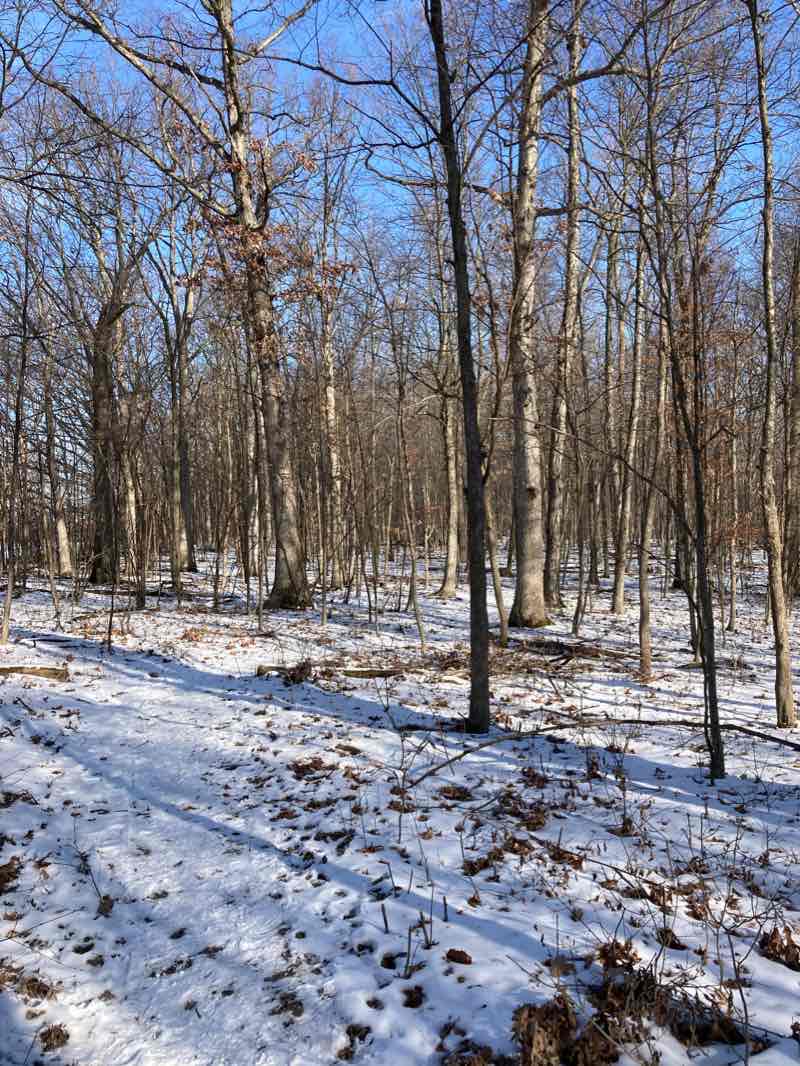 walking near me in Conservancy Farm (SMLC) in winter