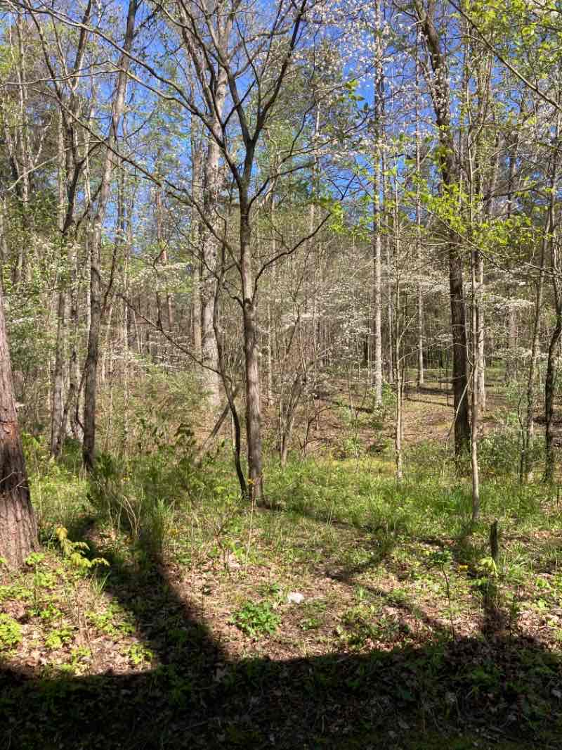 walking near me in Oak Openings Preserve Metropark in winter