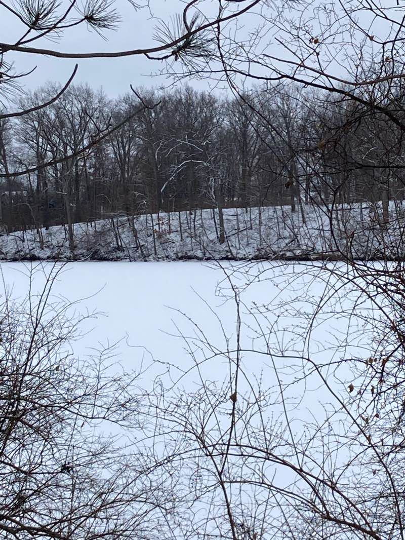 walking near me in Sumac Pointe Recreation Area in winter