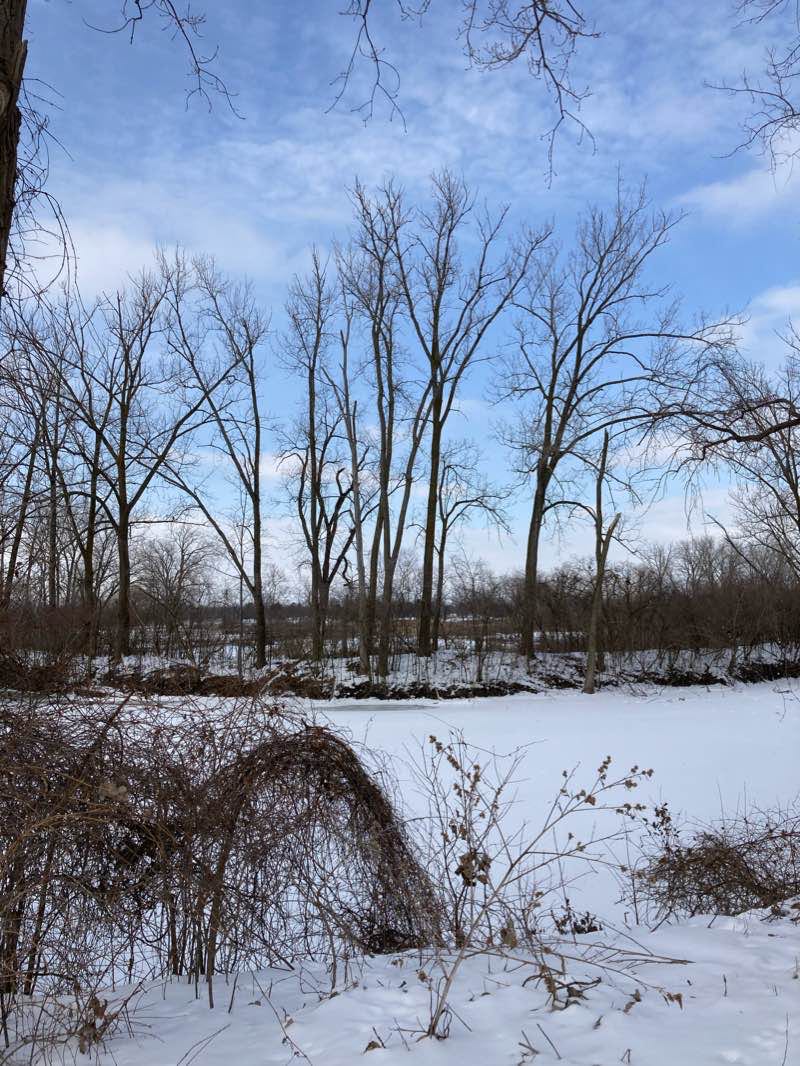 walking near me in Wm. C. Sterling State Park in winter