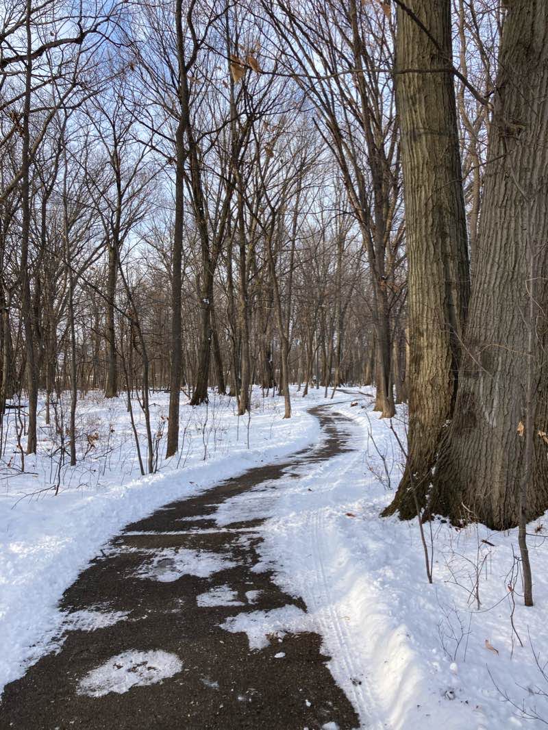 walking near me in Rosie's Park in winter