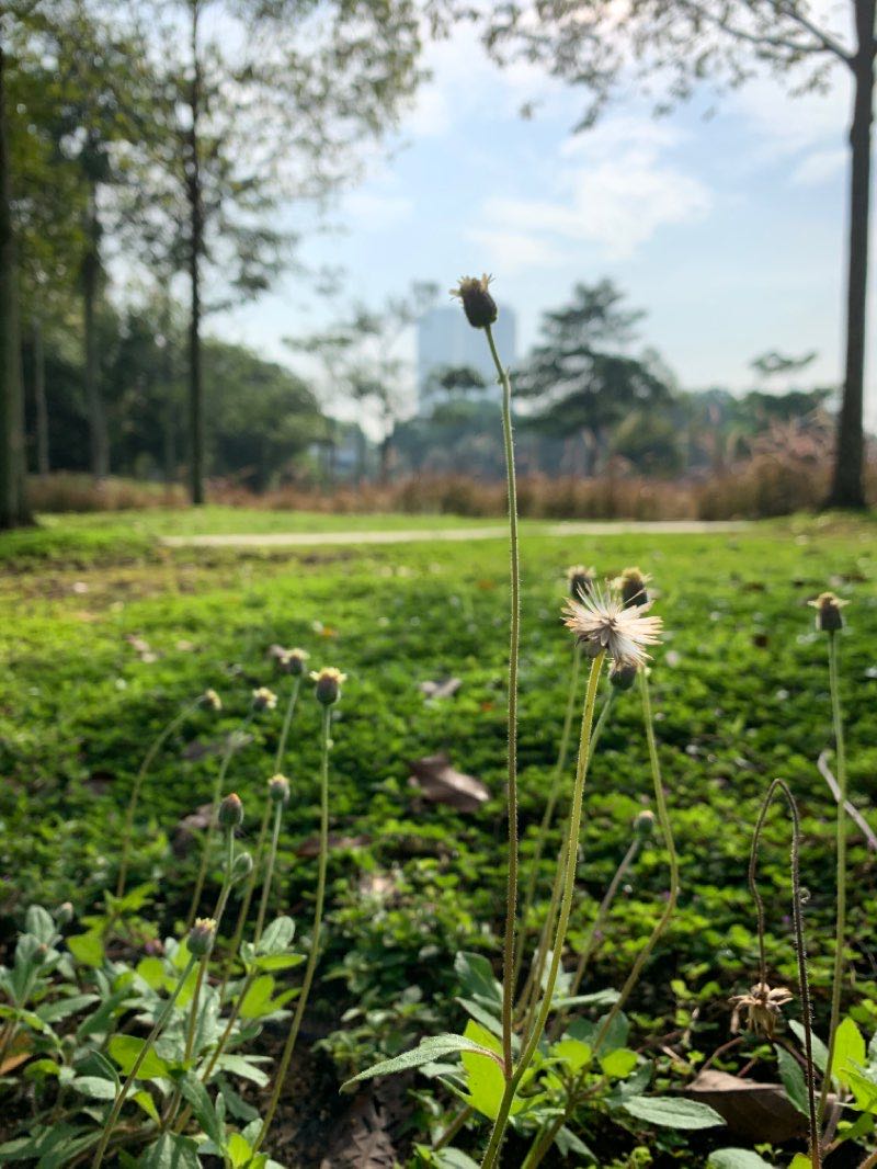 walking near me in Entry Park in winter