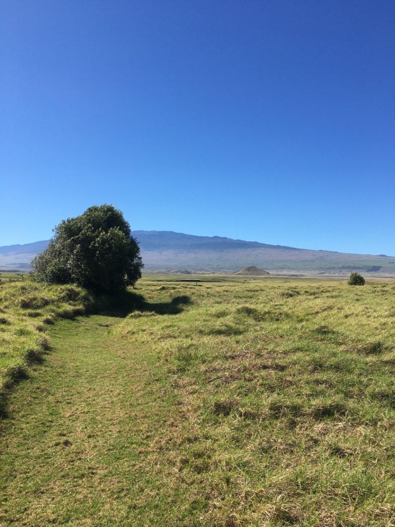 walking near me in Waimea District Park in winter