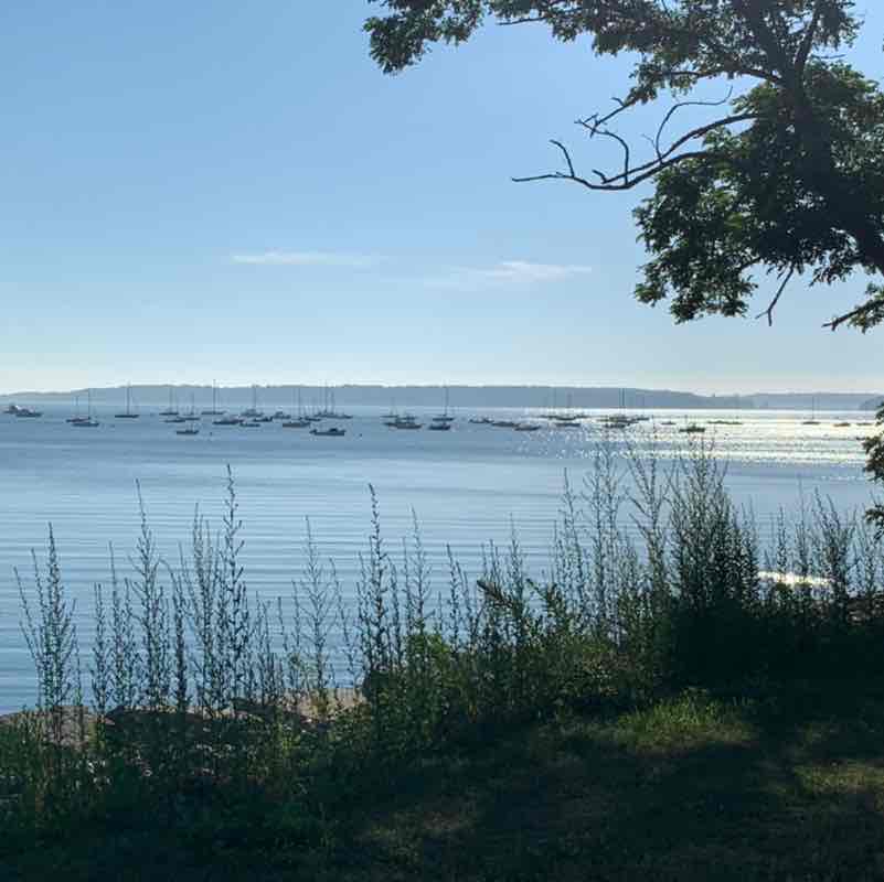 Finlay 🇺🇸 post 3