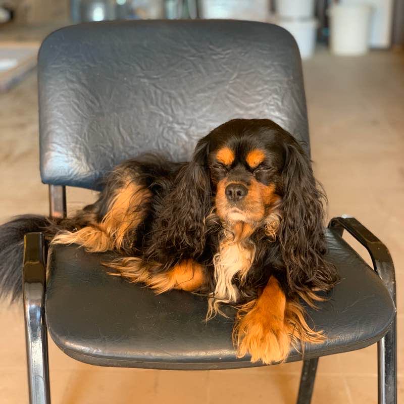 Николай post 1