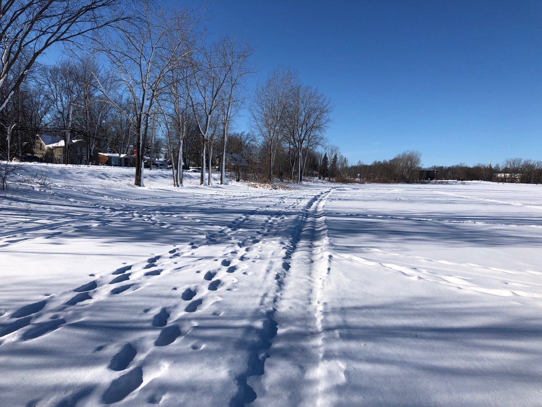 walking near me in Parc de la Maison-Valois in winter