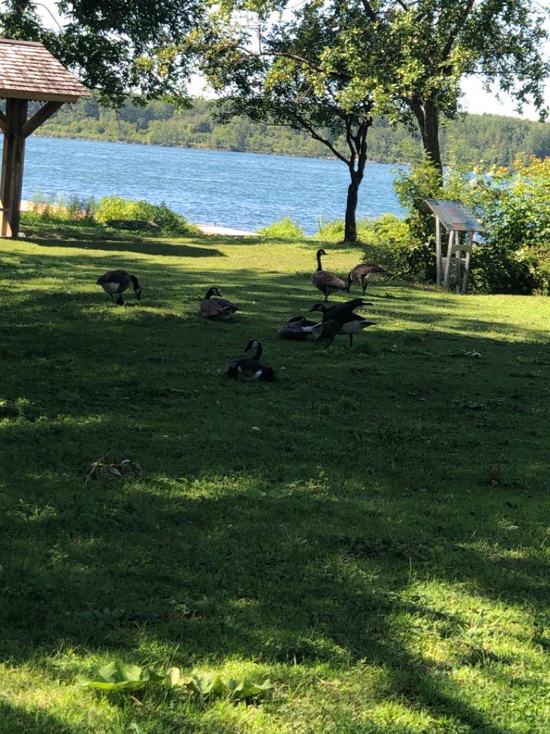 walking near me in Parc régional Beauharnois-Salaberry in winter