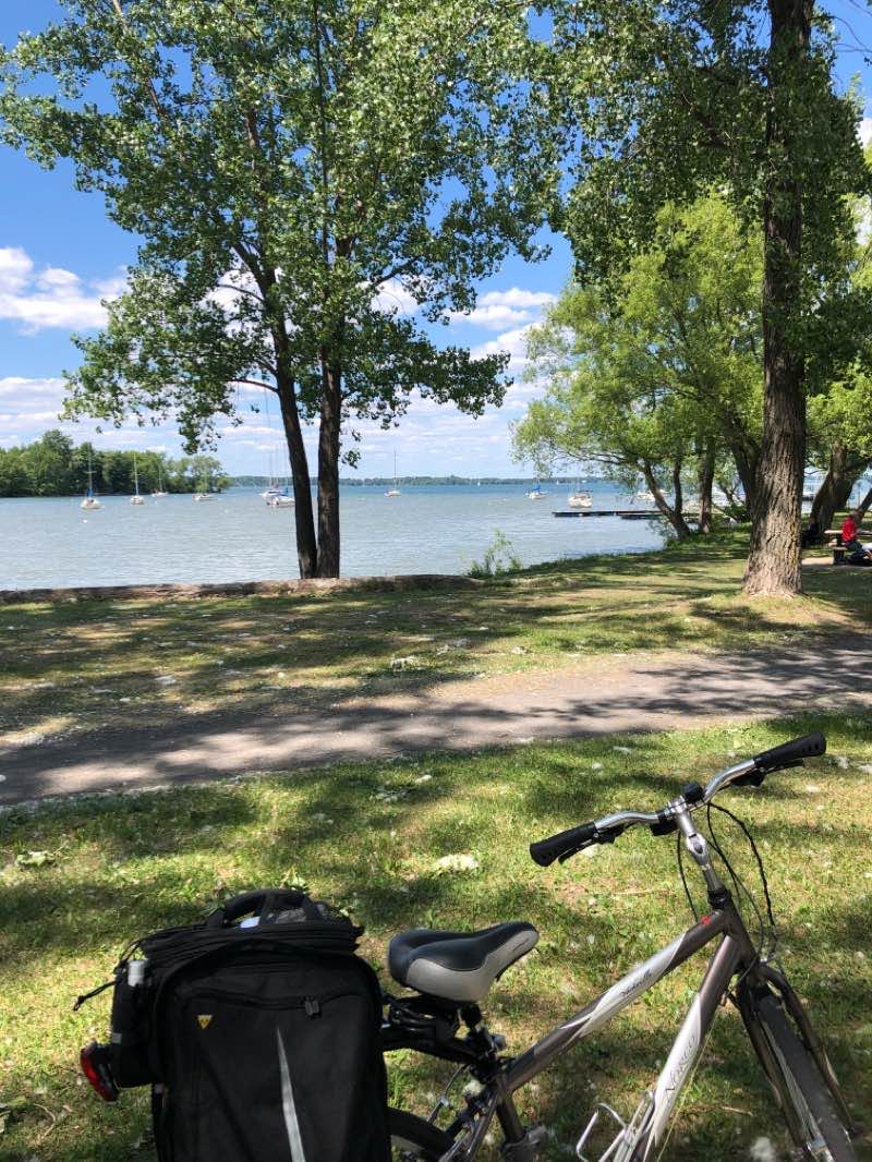 walking near me in Parc Riverain in winter