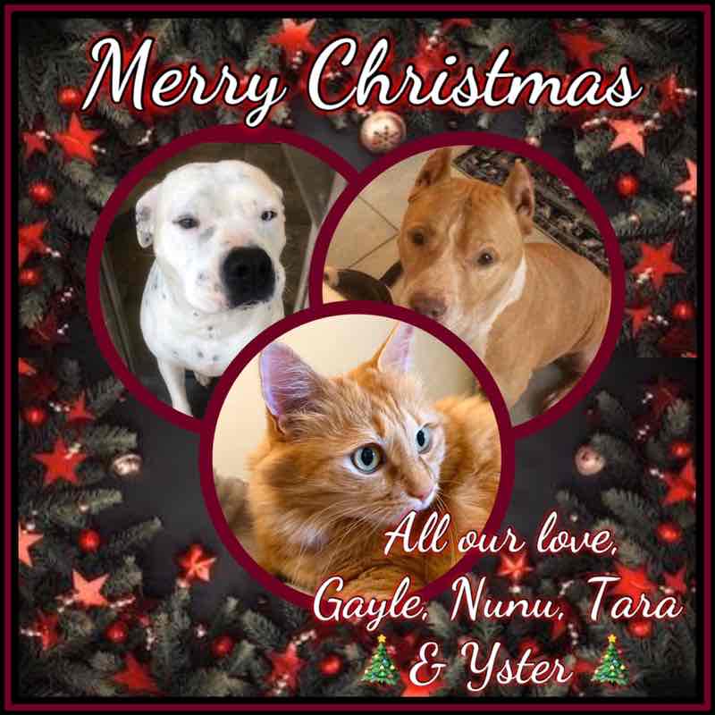 ShooterWalker post 1