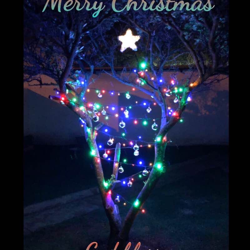 ShooterWalker post 1