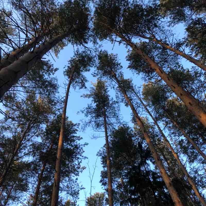 Александр post 1