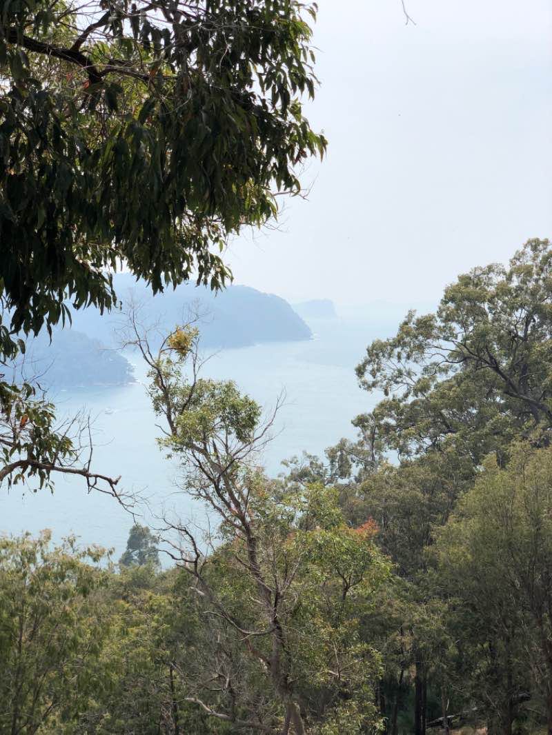 walking near me in Ku-ring-gai Chase National Park in summer