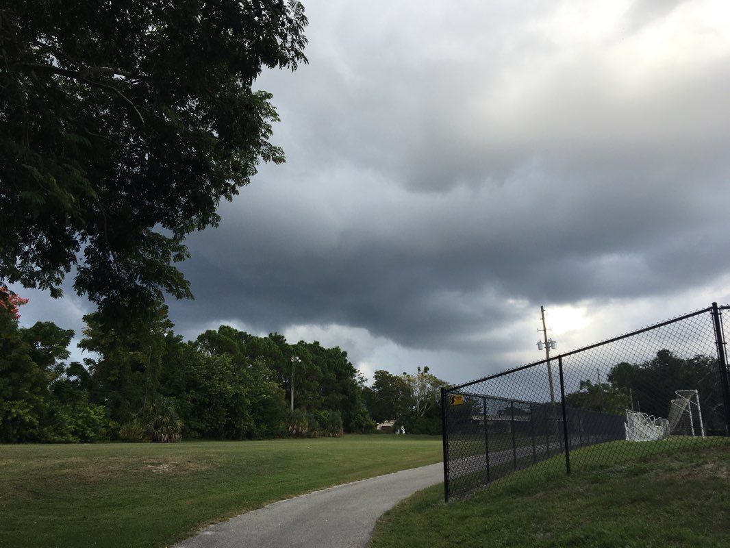 walking near me in Del Oro Park in winter