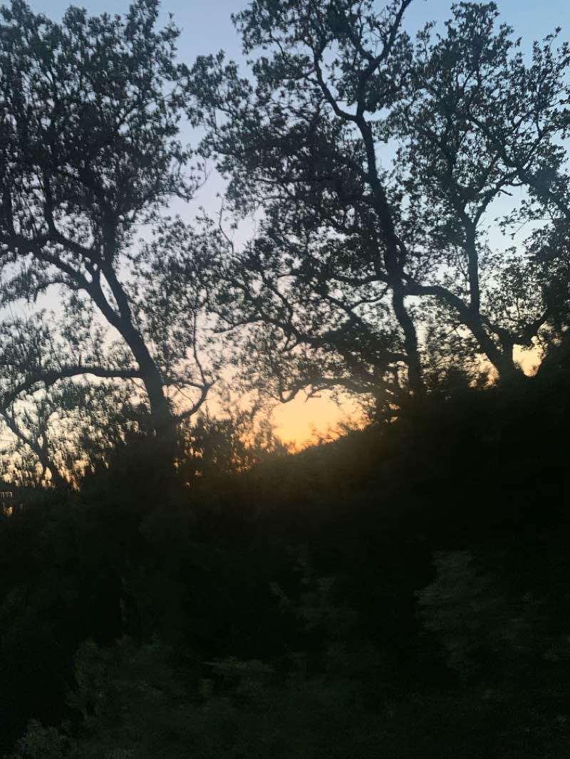 walking near me in Stone Oak Park in winter