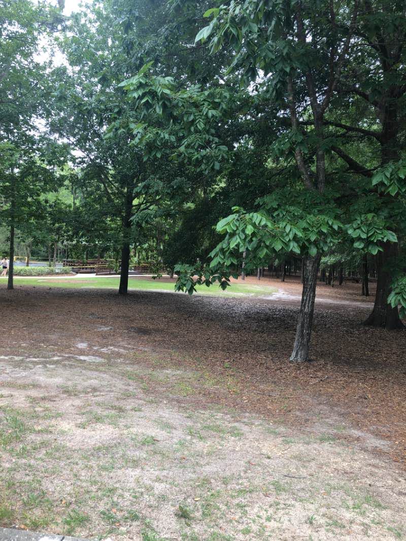 walking near me in Sholom Park in winter