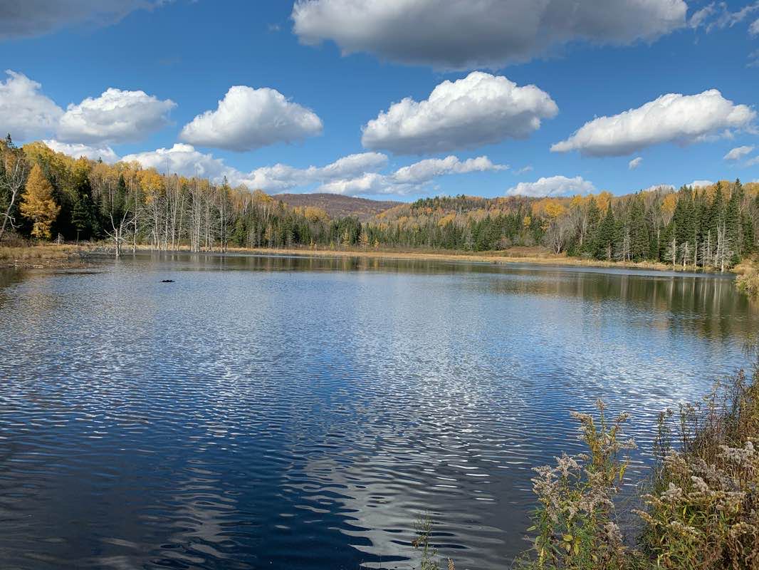 walking near me in Réserve naturelle Alfred-Kelly in winter