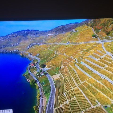 Gérald_1950 🇨🇭 post 1