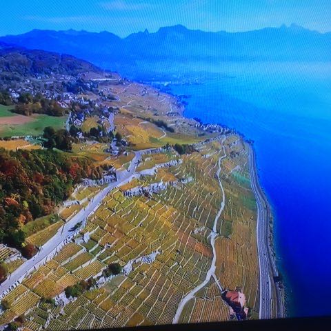 Gérald_1950 🇨🇭 post 2