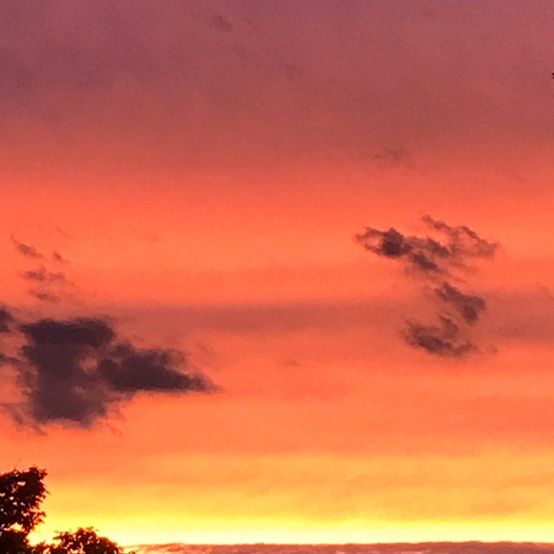 🐶Animallover🐶 post 1