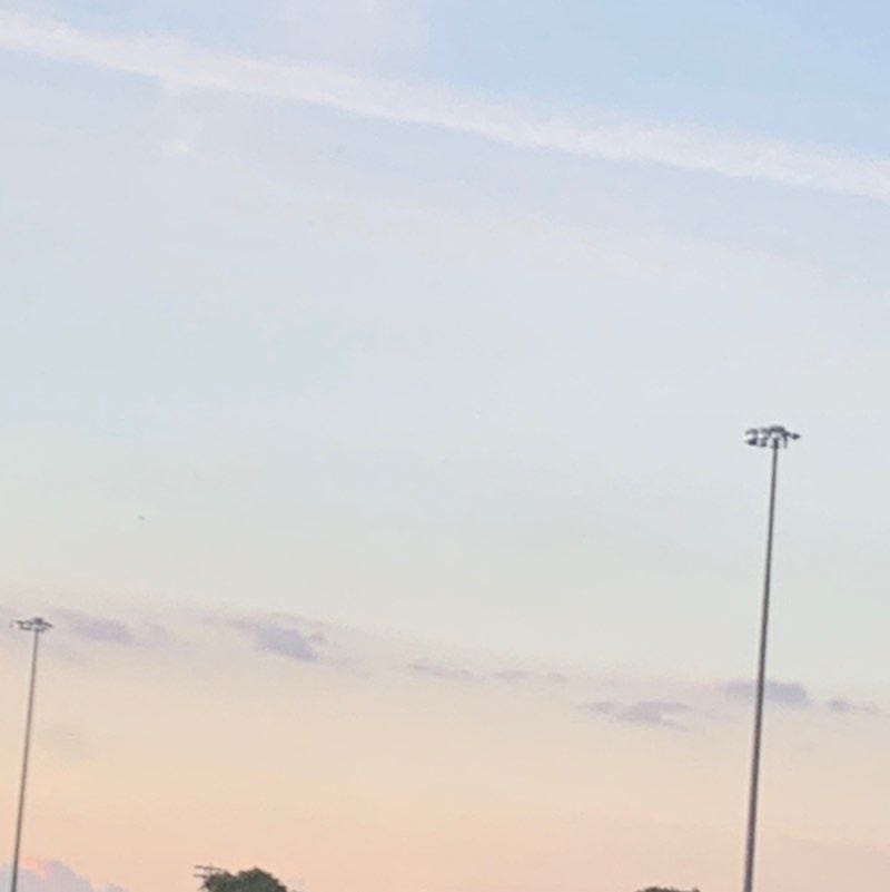 🐶Animallover🐶 post 1