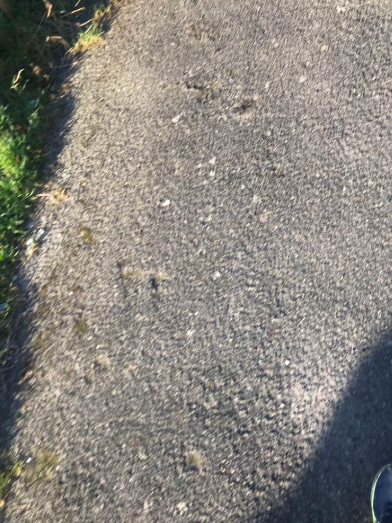 walking near me in King George’s Fields in winter