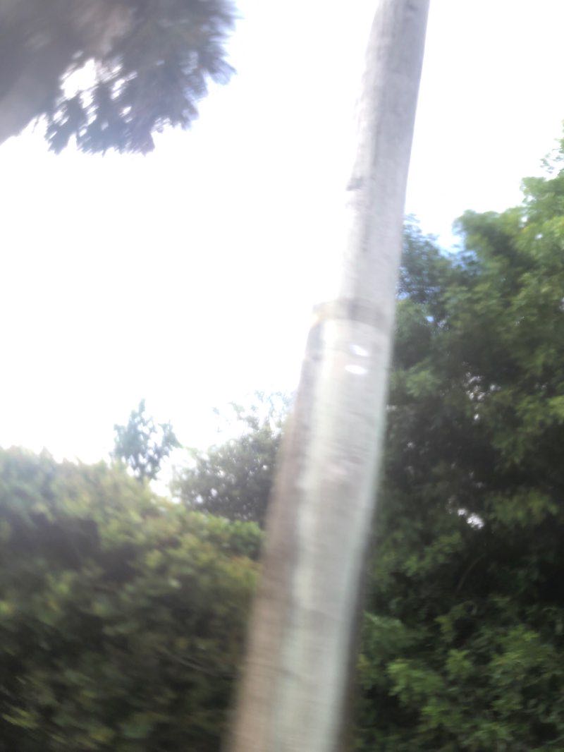 walking near me in Dreher Park South in winter