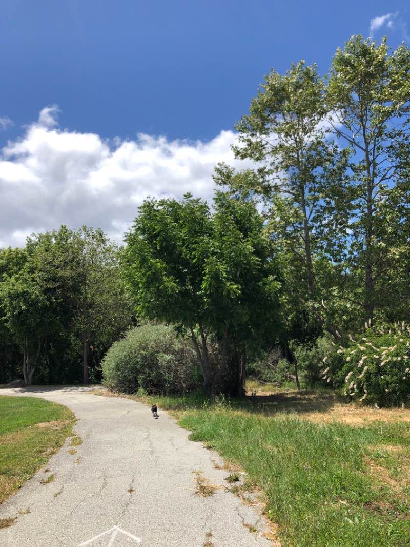 walking near me in Nativiad Creek Park in winter