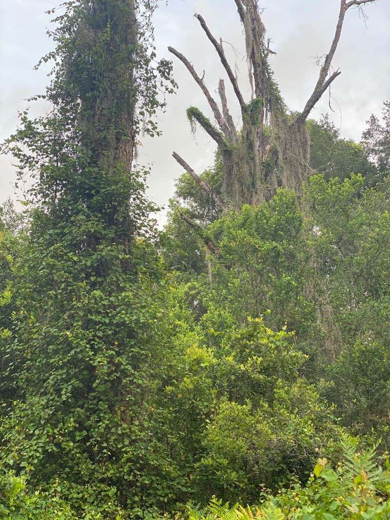 walking near me in Lake Rogers Park in winter
