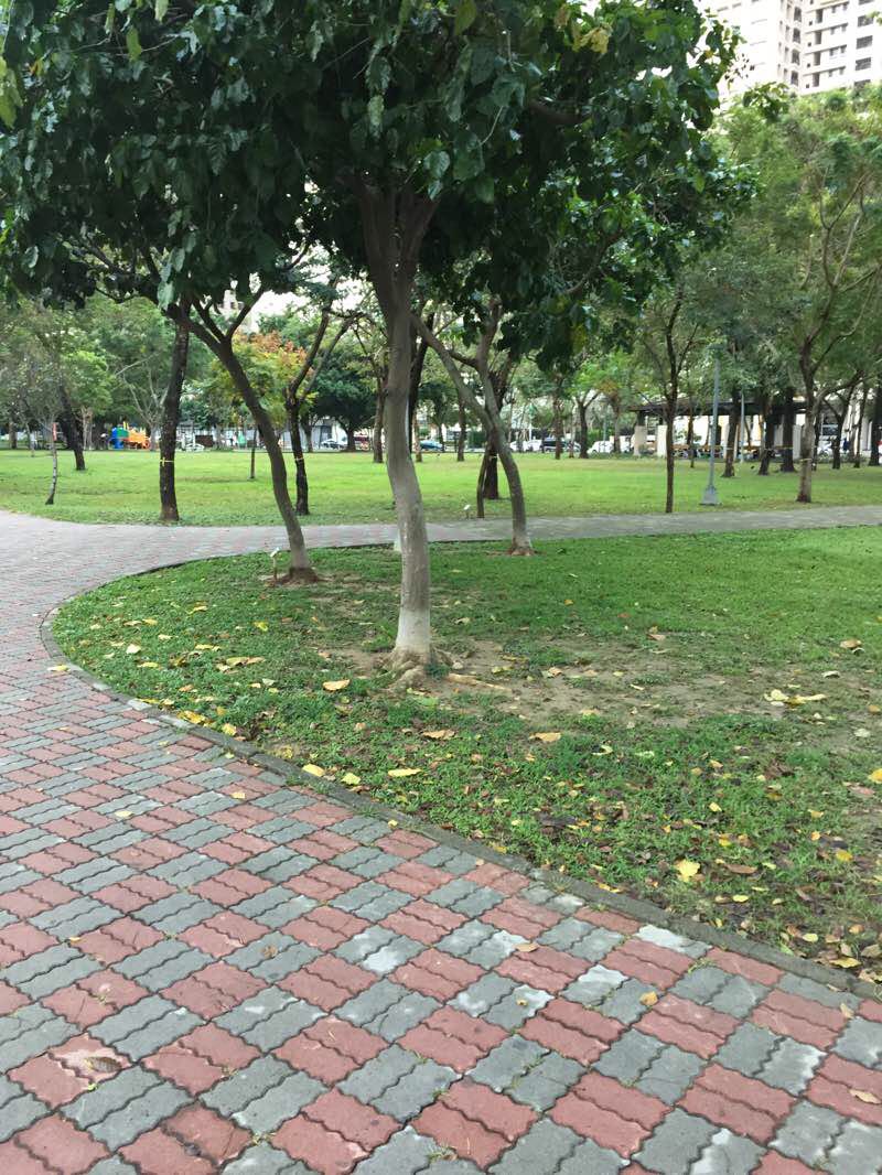 walking near me in Taichung Folklore Park in winter