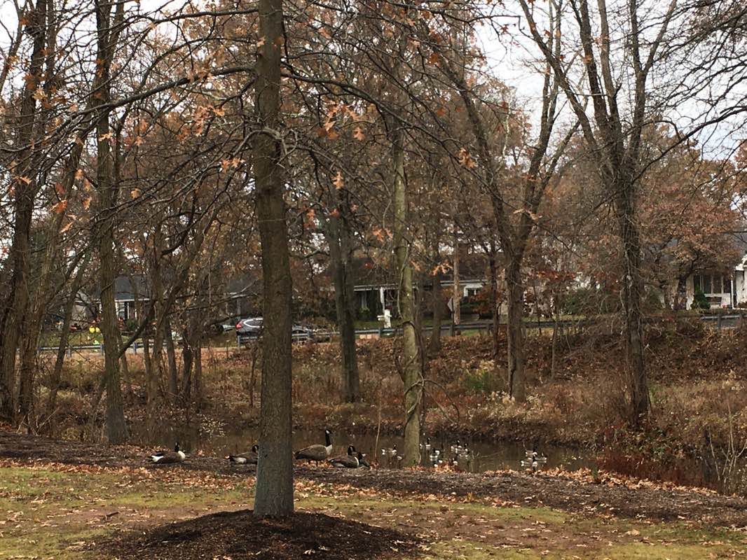 walking near me in Victor Crowell Memorial Park in winter