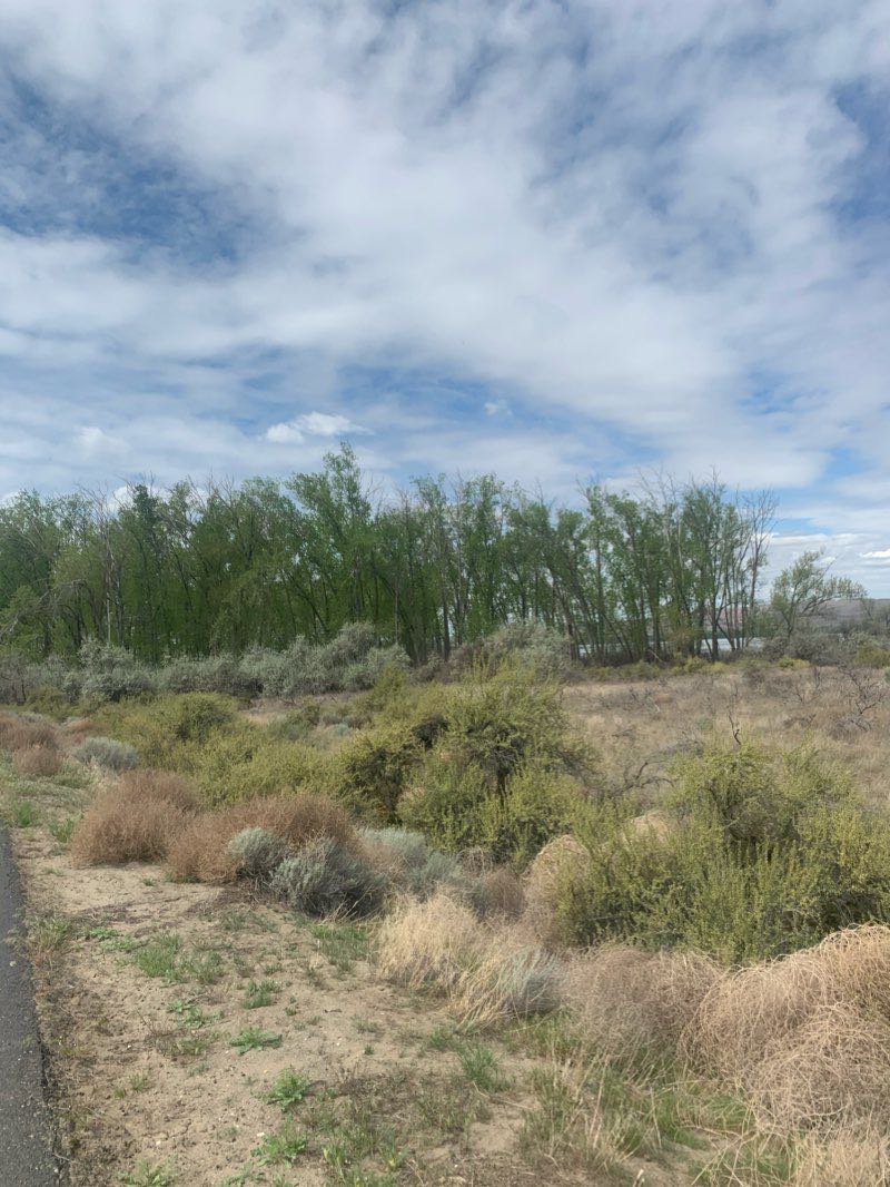 walking near me in The Fourty in winter