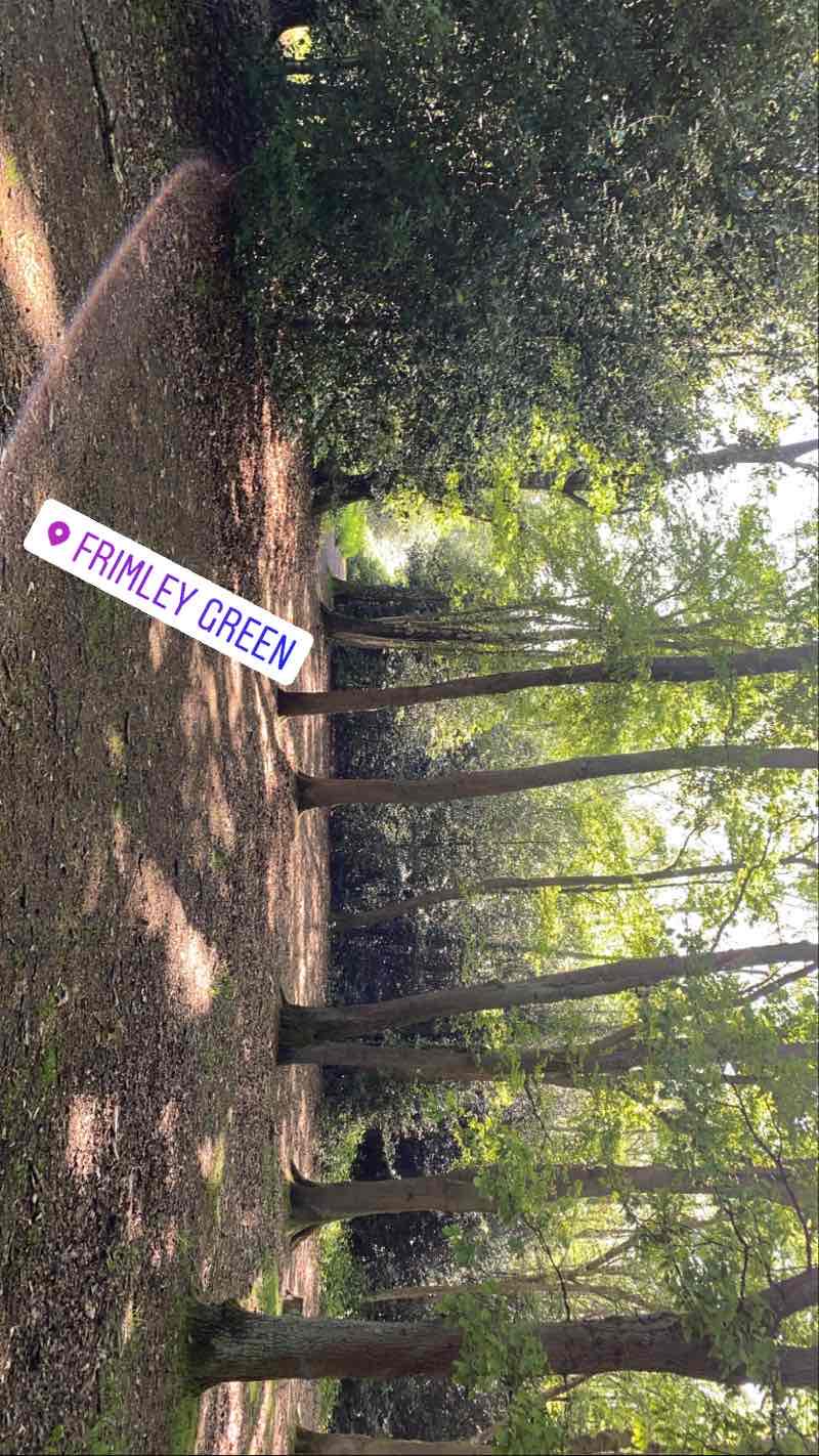 walking near me in Frimley Lodge Park in winter