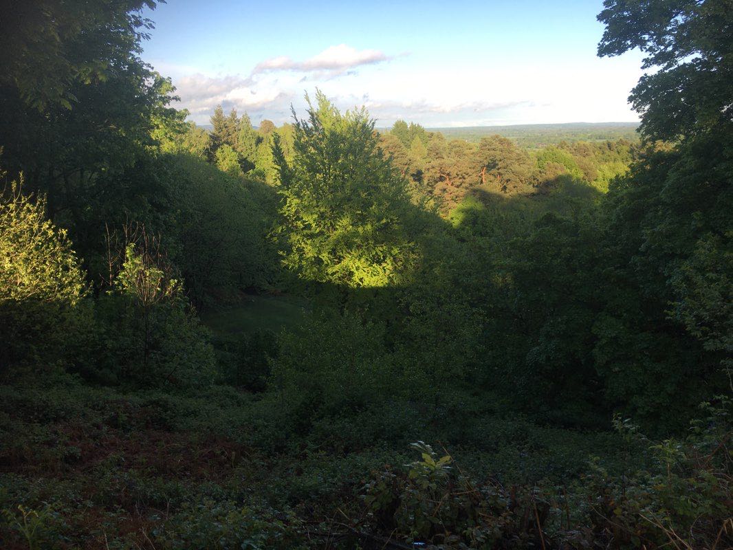 walking near me in Cotmandene in winter