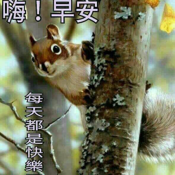 Josh.Wu 🏃🌸……🚴‍♀️ post 1