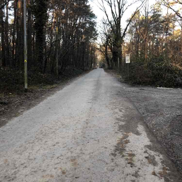 michele.g2102 post 2