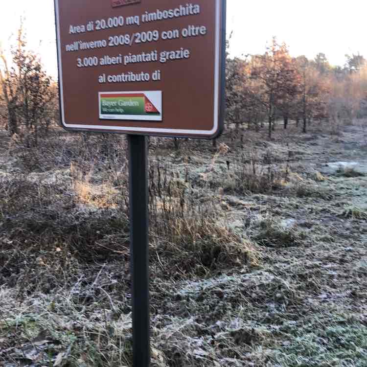 michele.g2102 post 1