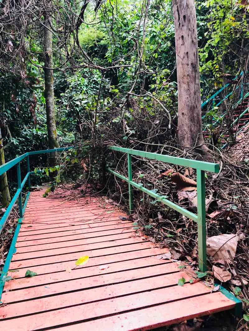 walking near me in Kota Kinabalu Wetland in winter