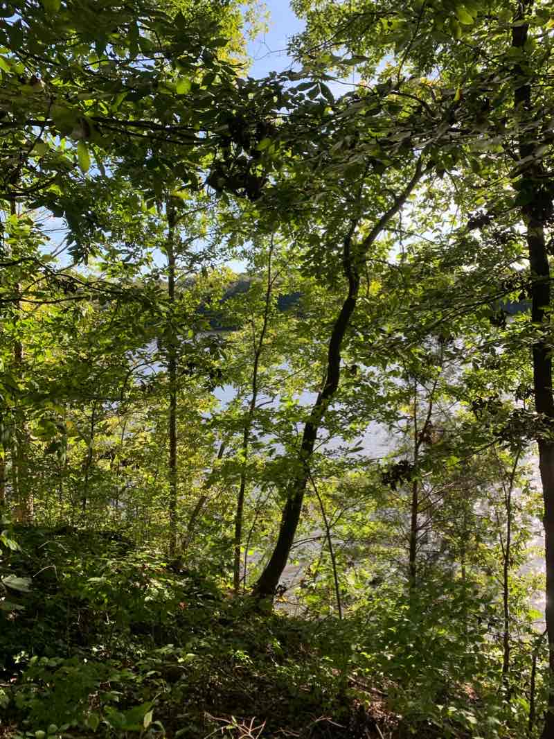 walking near me in Davis Drive Park in winter
