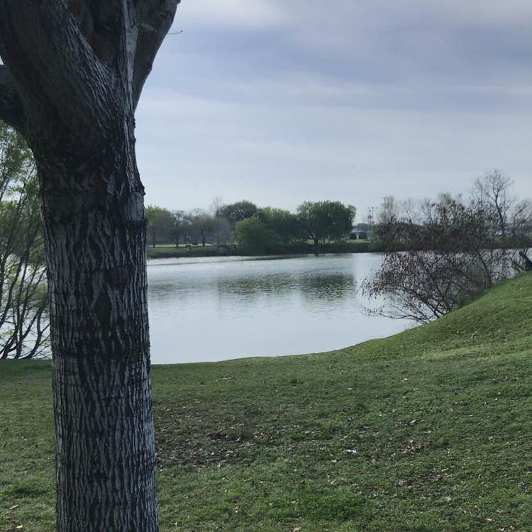 mnajam.siddiqui post 2