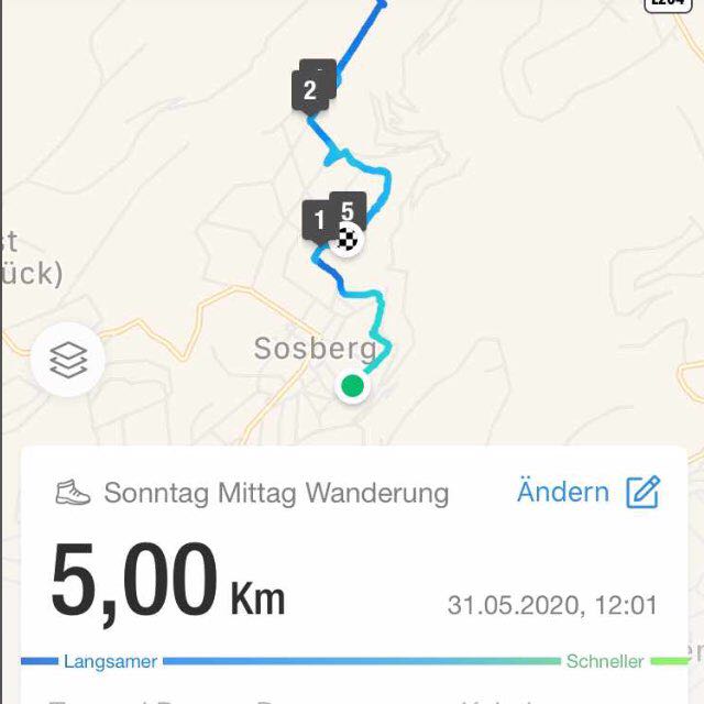 Dattelpalme🙂 post 2