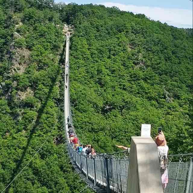 Dattelpalme🙂 post 3