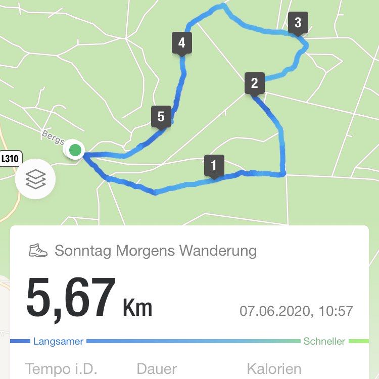 Dattelpalme🙂 post 2