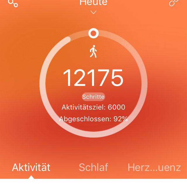 Dattelpalme🙂 post 1