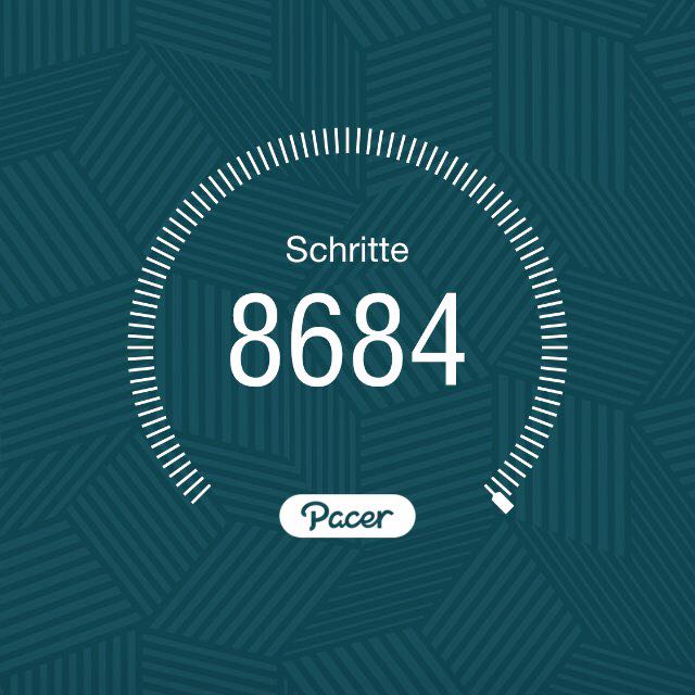 Dattelpalme🙂 post 1