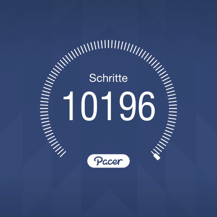 Dattelpalme🙂 post 1