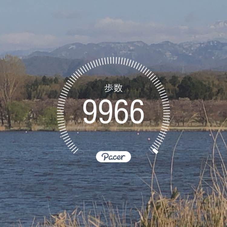 kibagata007 post 1
