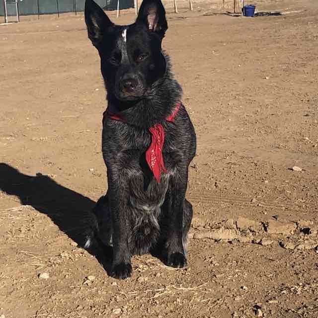 NostalicFortune post 1