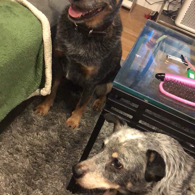 NostalicFortune post 1