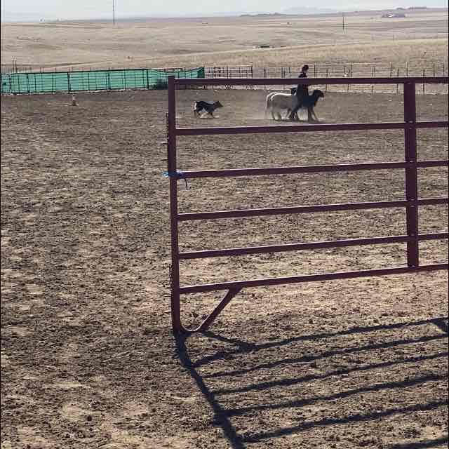 NostalicFortune post 1