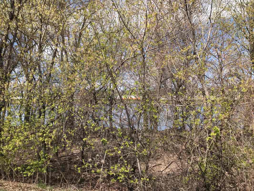 walking near me in Miller Riverview Park in winter